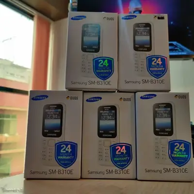 Samsung B310E dual