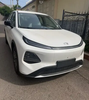 BYD Yuan Up, 2026