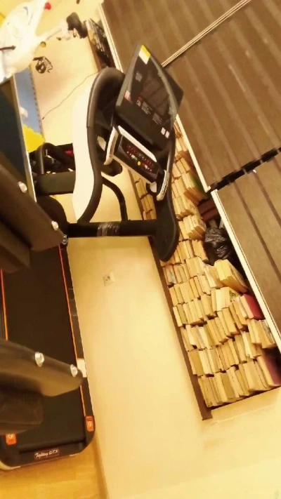 Беговая дорожка — миниатюра 2