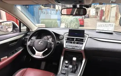 Lexus NX series, 2015