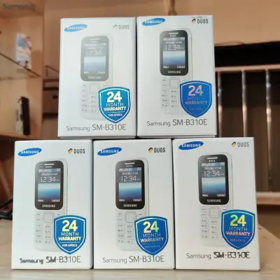 Samsung B310E dual