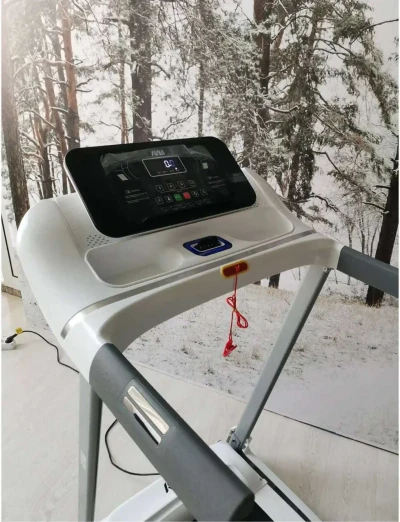Беговая дорожка
