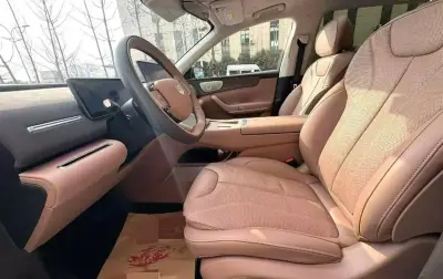 Leapmotor C11, 2025