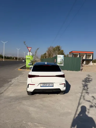BYD — миниатюра 7