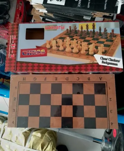 Шахматы 3в1