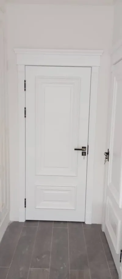 Дверь — миниатюра 1