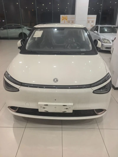 Dongfeng Nammi 01, 2025 на заказ