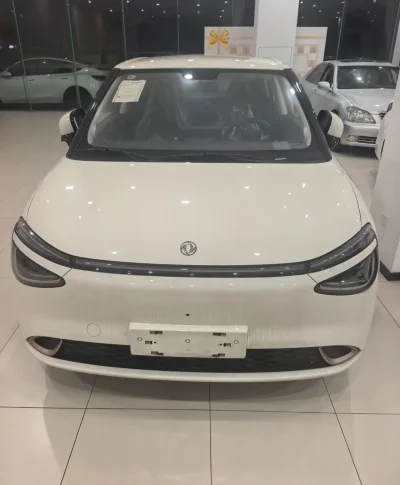 Dongfeng Nammi 01, 2025 на заказ