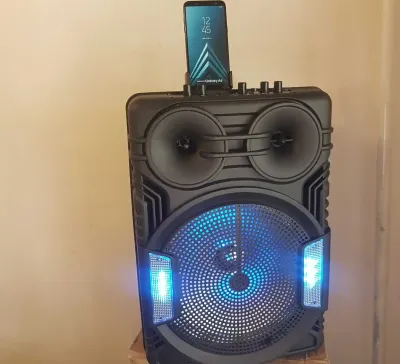 Колонка GTS 1311