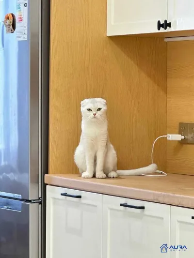3-комн. квартира, 16 этаж, 139 м², Шохмансур Бахт Z — миниатюра 8
