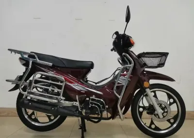 Скутер утка 110