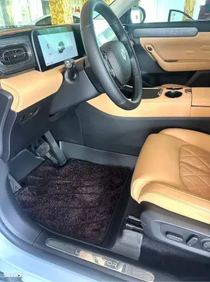 Leapmotor C11, 2025