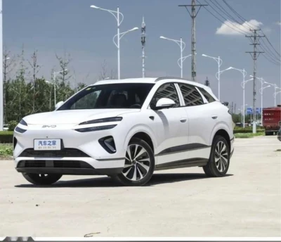 BYD Sea Lion 06, 2025