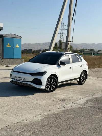 BYD — миниатюра 2