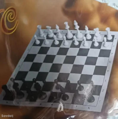 Шахматы