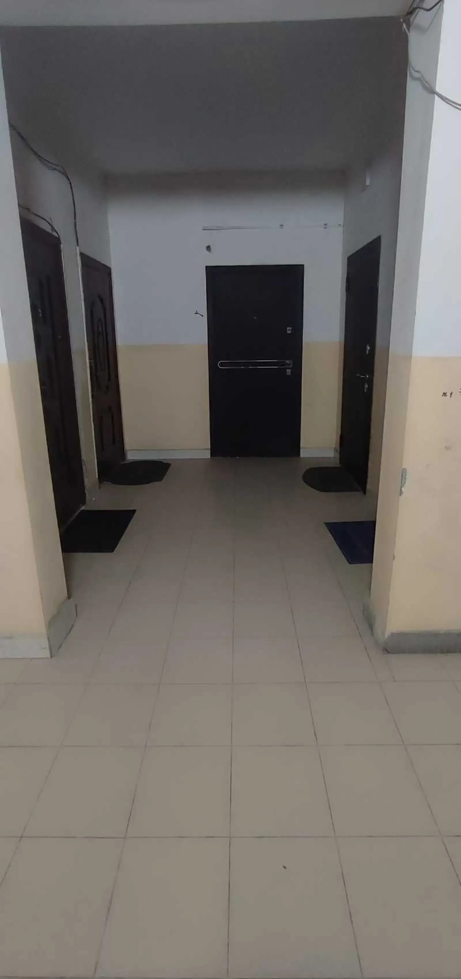 3-комн. квартира, 7 этаж, 75м², Сино