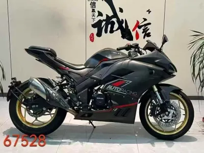 Мотоцикл Ducati — миниатюра 3