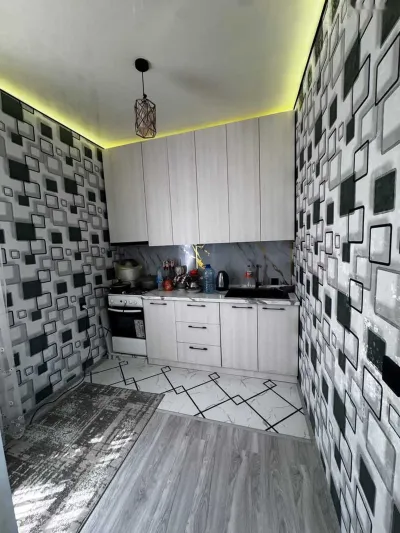 2-комн. квартира, 1 этаж, 60м², 9клм — миниатюра 4