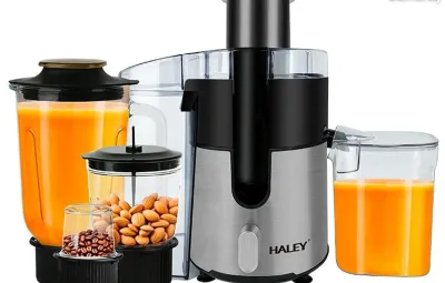 Соковыжималка Haley HY-2947 серебристый