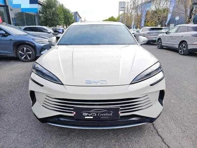 BYD Sea Lion 07, 2025 на заказ — миниатюра 2