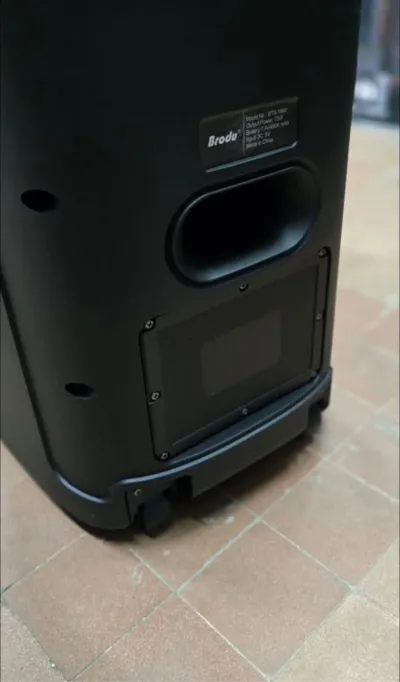Колонка 300w в аренду — миниатюра 5