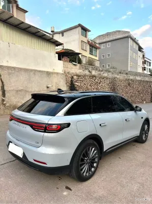 Leapmotor C11, 2025