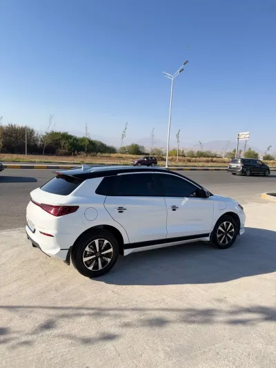BYD — миниатюра 4