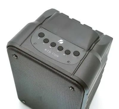 Колонка KTS1109
