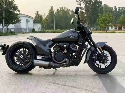 Harley Davidson 800 — миниатюра 2