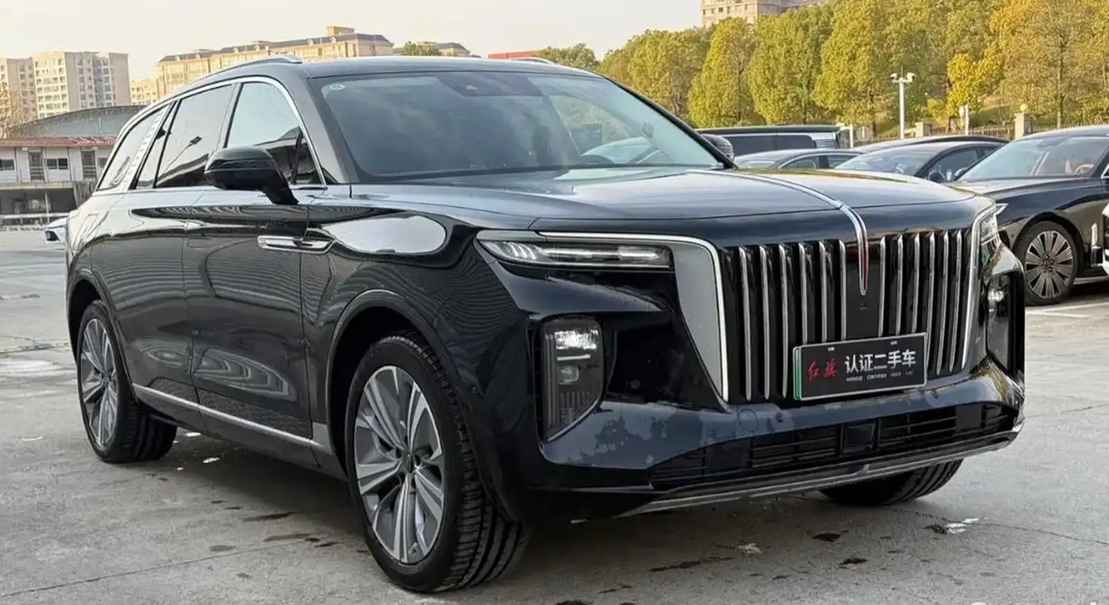 Hongqi E-HS9,