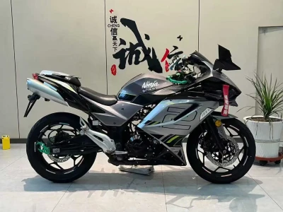 Мотоцикл Kawasaki Ninja — миниатюра 3