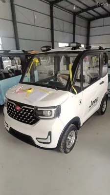Легковые автомобили Другие марки, 2025