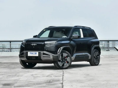 BYD Leopard 3, 2025