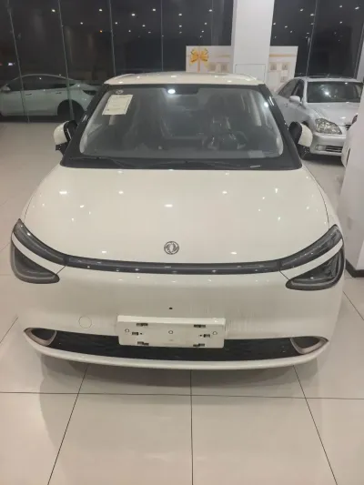 Dongfeng Nammi 01, 2025 на заказ