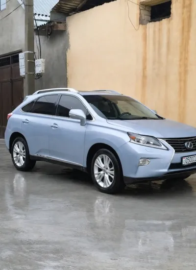 Lexus RX series, 2010