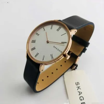 Часы Skagen SKW2674