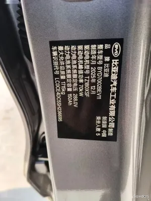 BYD E2, 2025