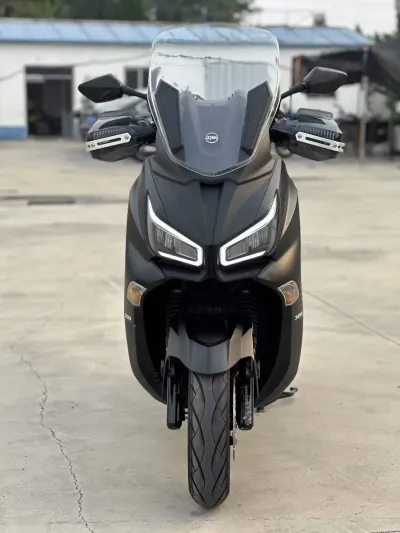 Мотоцикл Joymax Z300 на заказ — миниатюра 2