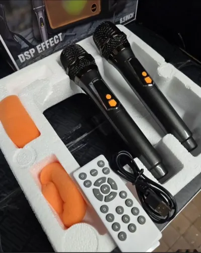 Колонка 300w в аренду — миниатюра 6