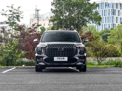 GAC Trumpchi GS8, 2025 на заказ — миниатюра 5