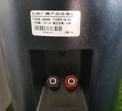 Колонка FM 308 60W