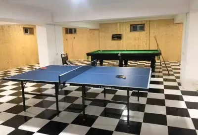 Теннисный стол