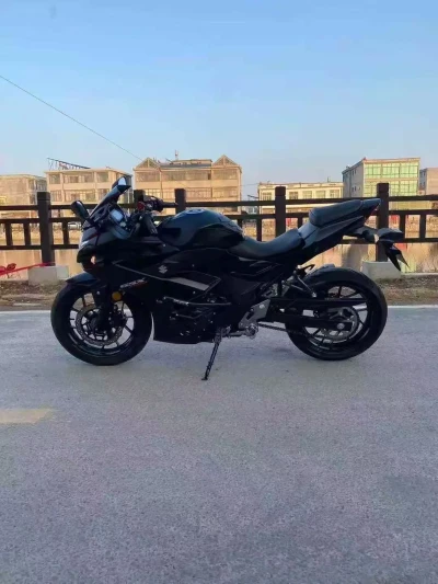 Мотоцикл Suzuki RGSX 250 — миниатюра 1