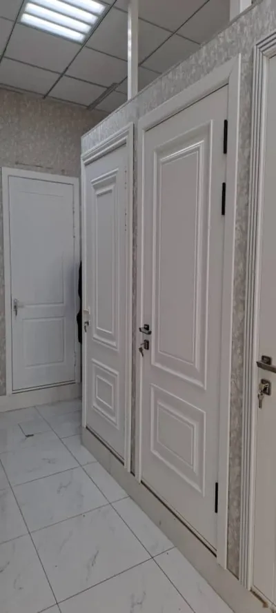 Дверь — миниатюра 1