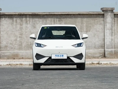 BYD Seagull, 2025