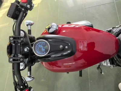 Мотоцикл Harley Davidson 300 — миниатюра 6