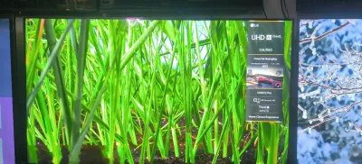 Телевизор LG 65 UR80