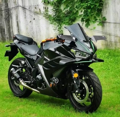 Мотоцикл Kawasaki 250 cc — миниатюра 2