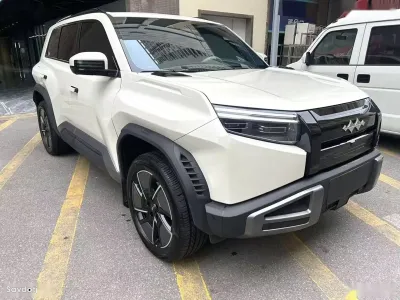 Leopaard C5, 2025