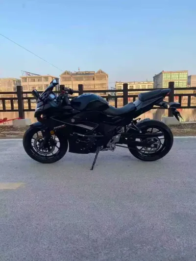 Мотоцикл Suzuki RGSX 250 — миниатюра 1